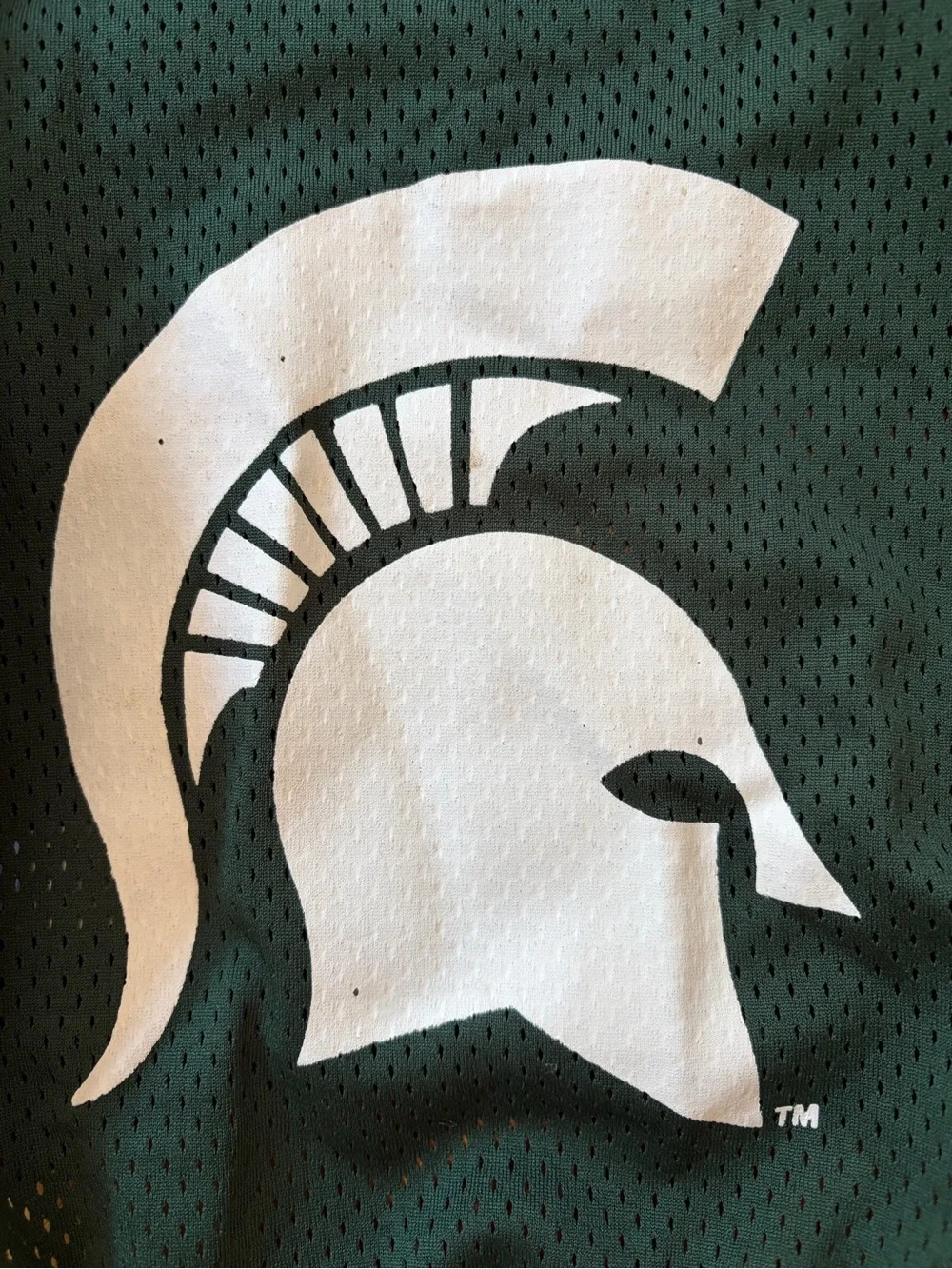 Michigan State University Spartans Dog Green Team Jersey Shirt!